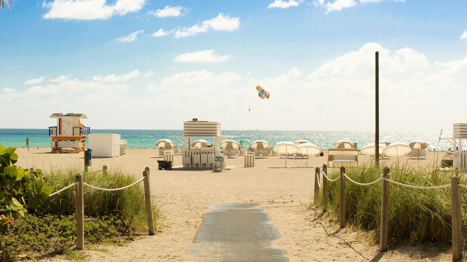 A sunny Miami street with palm trees and outdoor restaurant tables